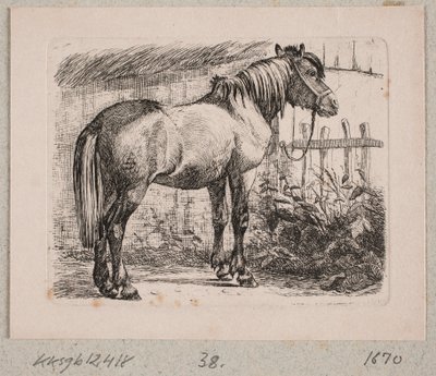 Um cavalo com cabresto de Johannes Wilhelm Zillen
