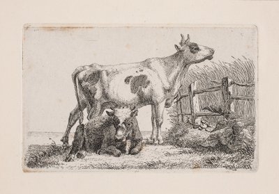 Uma vaca em repouso e uma vaca em pé de Johannes Wilhelm Zillen
