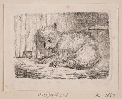 Um cão de pelo comprido de Johannes Wilhelm Zillen