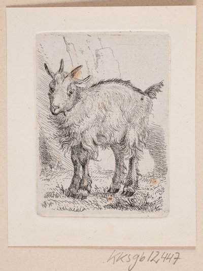 Um cabrito de Johannes Wilhelm Zillen