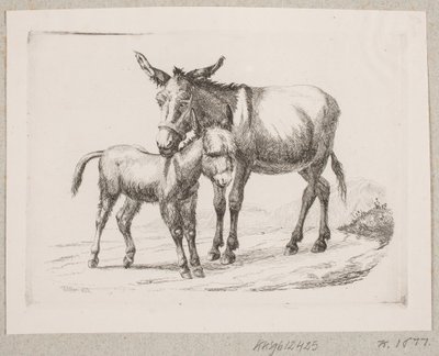 Um burro com seu potro de Johannes Wilhelm Zillen