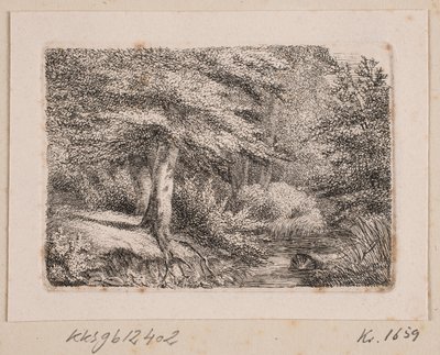 Lote da floresta de Johannes Wilhelm Zillen