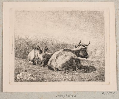 Duas vacas de descanso de Johannes Wilhelm Zillen