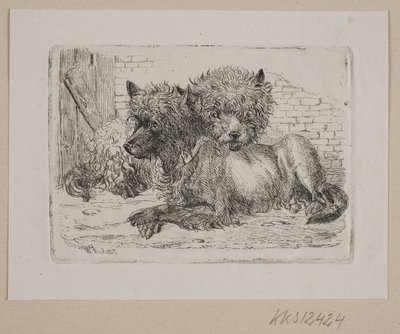Dois cães deitados de Johannes Wilhelm Zillen