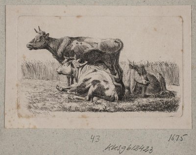 Três vacas de Johannes Wilhelm Zillen