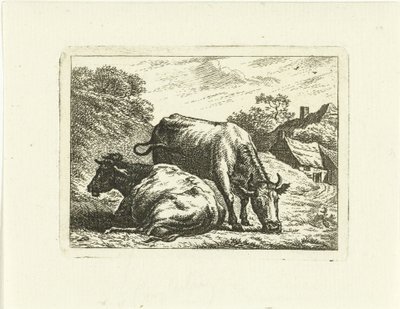 Duas vacas ao longo da estrada na fazenda de Johannes van Cuylenburgh
