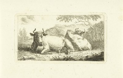 Duas vacas deitadas de Johannes van Cuylenburgh