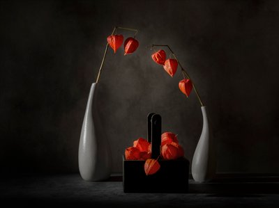 Lanternas chinesas espetaculares de John-Mei Zhong