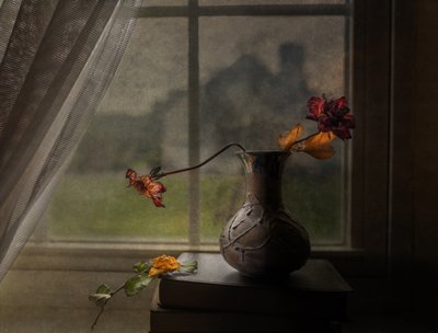Vista da janela com rosas secas de John-Mei Zhong