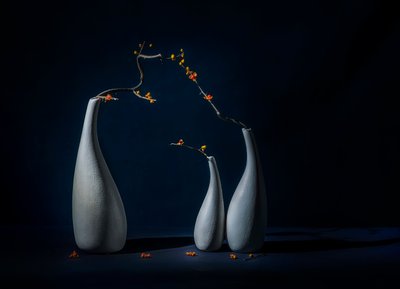 Vasos elegantes com flores de John-Mei Zhong