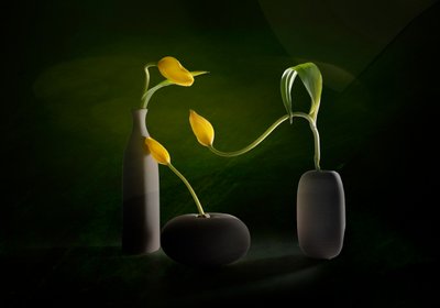 Vasos florais verdes e amarelos de John-Mei Zhong