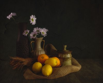 Flores e Frutas da Moody de John-Mei Zhong