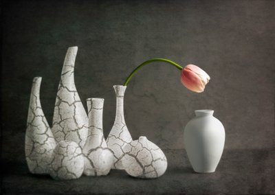 Vasos rachados com tulipas cor-de-rosa de John-Mei Zhong