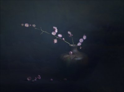 Natureza morta com flores de ameixa de John-Mei Zhong