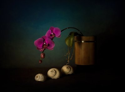 Natureza morta com orquídeas roxas de John-Mei Zhong