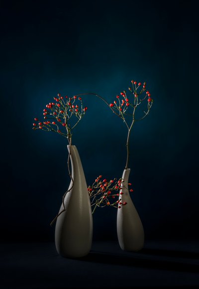 Vasos modernos com bagas vermelhas de John-Mei Zhong