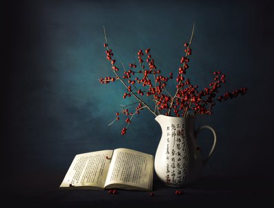 Bagas de Inverno e Livro de John-Mei Zhong