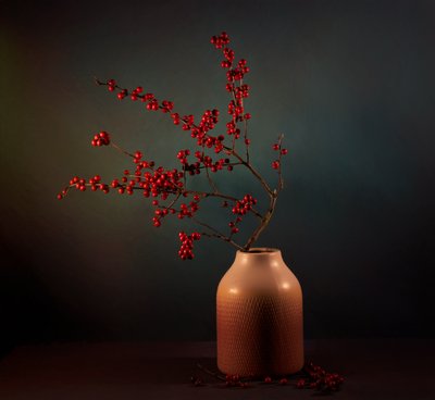 Exposição de bagas de inverno de John-Mei Zhong