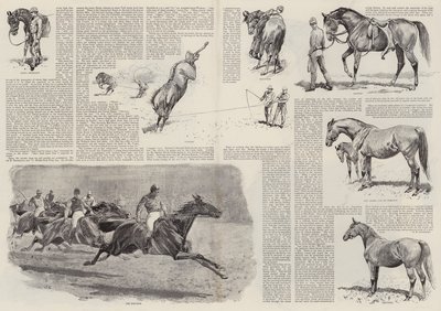 A Carreira de um Cavalo de Corrida (gravação) de John (after) Charlton