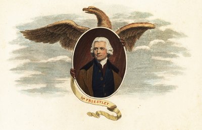 Dr. Joseph Priestley, teólogo e cientista de John (after) Opie
