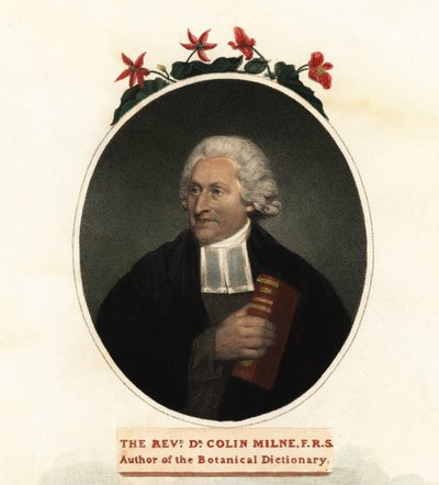 Retrato de Colin Milne, botânico.1806 (gravura) de John (after) Russell