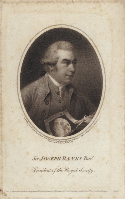 Sir Joseph Banks, naturalista inglês, botânico e presidente da Royal Society (gravura) de John (after) Russell