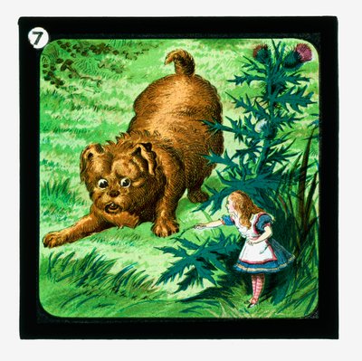 Alice no País das Maravilhas, Cor da Lanterna Slides (slide da lanterna) de John (after) Tenniel