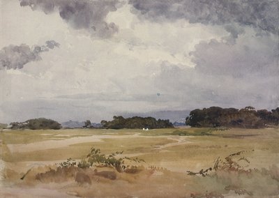 Um campo com grupos de árvores, século XIX; de John Absolon