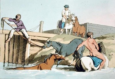 Cavalos de Banho, gravados pelo artista, publicado em 1803 (cor litho) de John Augustus Atkinson