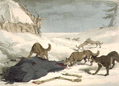 The Wolf Hunt, placa 74 do Volume III de 