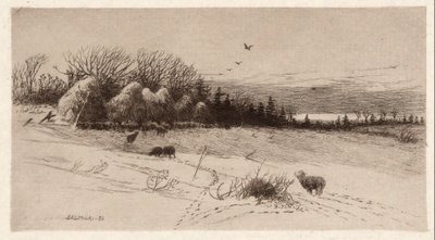 Ovelhas na neve de John Austin Sands Monks