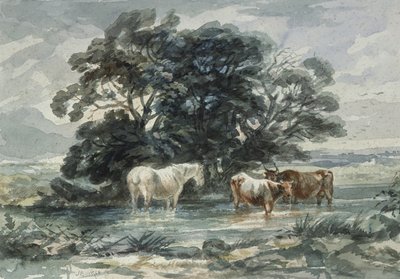 Paisagem, duas vacas e um cavalo em pé na água, (esboço) de John Barker