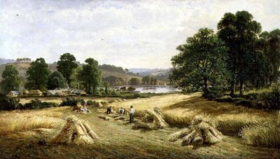 Reunindo o grão de ouro perto de Bishopsteignton, Plymouth de John Barrett