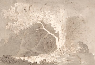 Estudo das árvores de John Baverstock Knight