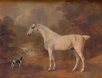 Um cinza pulga-mordido e um Terrier manchado, 1803. de John Boultbee