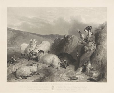 A Lassie pastoreando ovelhas. de John Burnet