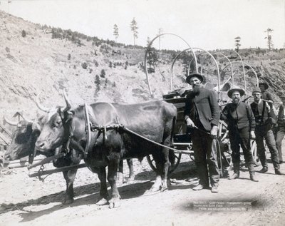 Febre do Ouro no Dakota do Sul de John C. H. Grabill