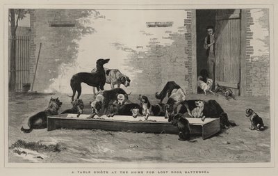 Uma mesa de mesa na casa de Lost Dogs, Battersea de John Charles Dollman
