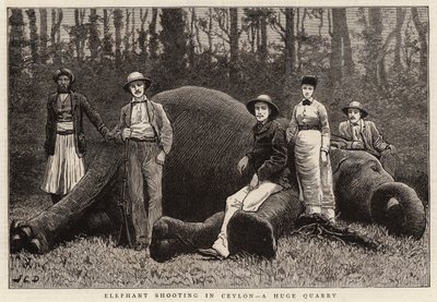 Tiro de elefante no Ceilão, uma enorme pedreira de John Charles Dollman