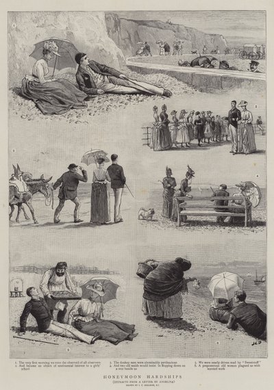 Dificuldades da lua de mel de John Charles Dollman