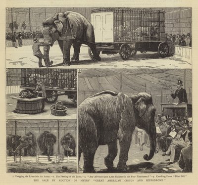 A venda em leilão do Grande Circo Americano e Hipódromo de Myers de John Charles Dollman