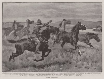 Um Colonial Plucky, dirigindo alguns dos Cavalos do Inimigo enquanto sob Fogo de John Charlton