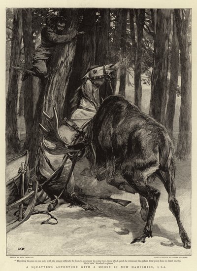 A aventura de um invasor com um alce em New Hampshire, EUA de John Charlton