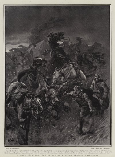 Uma debandada selvagem, o efeito de uma tempestade de granizo sul-africana de John Charlton
