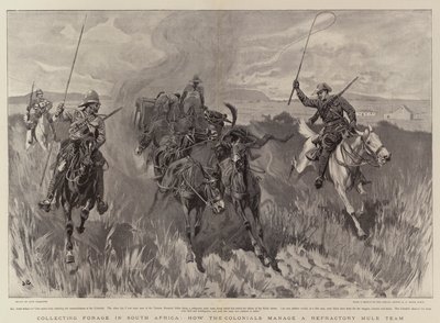 Coletando Forragem na África do Sul, como os coloniais administram uma equipe refratária de mula de John Charlton