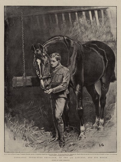 Camaradas, Trumpeter Shurlock, dos 5 Lancers, e seu cavalo de John Charlton