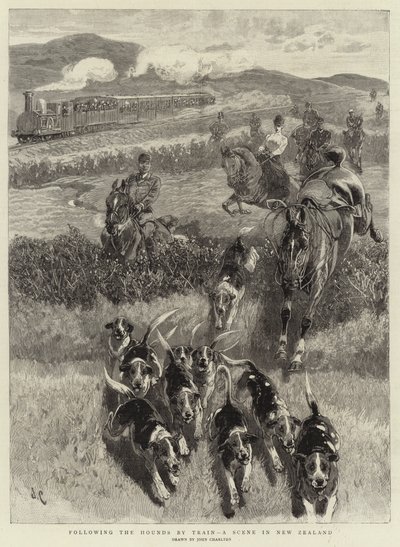 Após os Hounds by Train, uma cena na Nova Zelândia de John Charlton