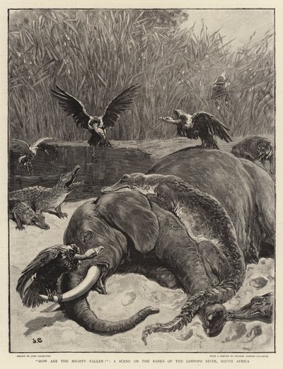 Como estão os poderosos caídos !, uma cena nas margens do rio Limpopo, na África do Sul de John Charlton
