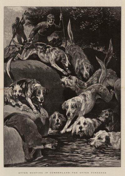 Otter Hunting em Cumberland, a lontra encurralada de John Charlton