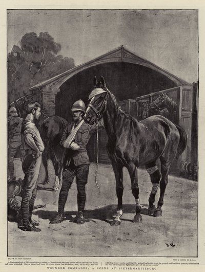 Camaradas feridas, uma cena em Pietermaritzburg de John Charlton